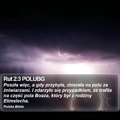 Rut 2:3 POLUBG Bible Verse Image
