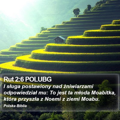 Rut 2:6 POLUBG Bible Verse Image