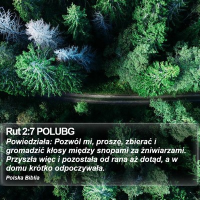Rut 2:7 POLUBG Bible Verse Image