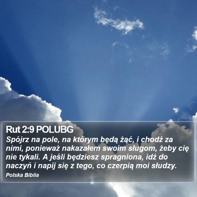 Rut 2:9 POLUBG Bible Verse Image