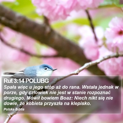 Rut 3:14 POLUBG Bible Verse Image