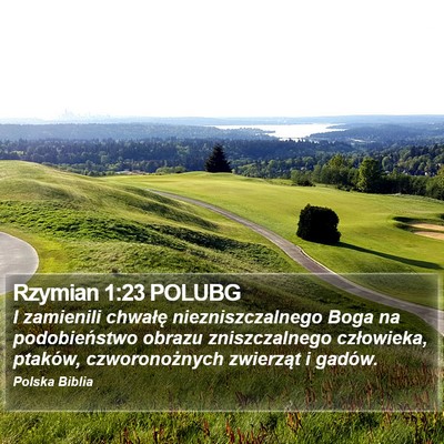 Rzymian 1:23 POLUBG Bible Verse Image