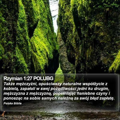 Rzymian 1:27 POLUBG Bible Verse Image