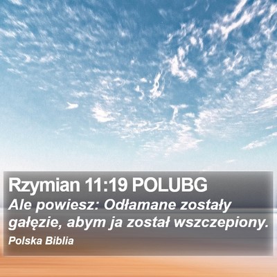 Rzymian 11:19 POLUBG Bible Verse Image