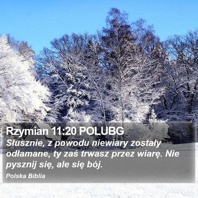 Rzymian 11:20 POLUBG Bible Verse Image