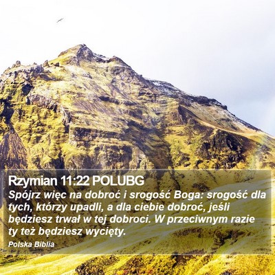 Rzymian 11:22 POLUBG Bible Verse Image