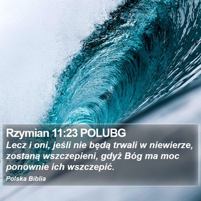 Rzymian 11:23 POLUBG Bible Verse Image