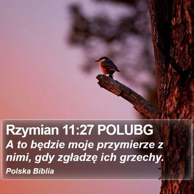 Rzymian 11:27 POLUBG Bible Verse Image