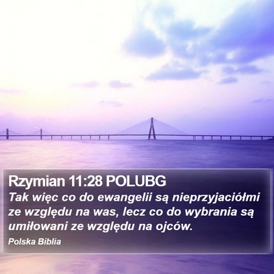 Rzymian 11:28 POLUBG Bible Verse Image