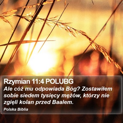 Rzymian 11:4 POLUBG Bible Verse Image