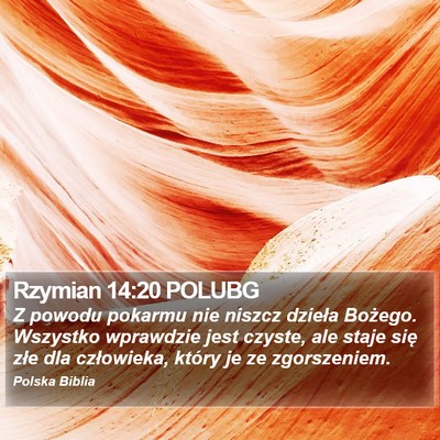 Rzymian 14:20 POLUBG Bible Verse Image