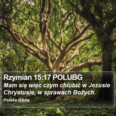 Rzymian 15:17 POLUBG Bible Verse Image
