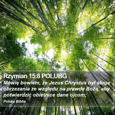 Rzymian 15:8 POLUBG Bible Verse Image
