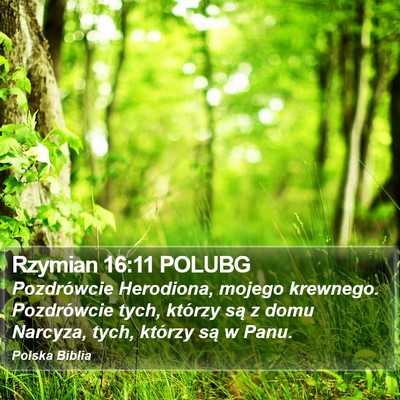 Rzymian 16:11 POLUBG Bible Verse Image