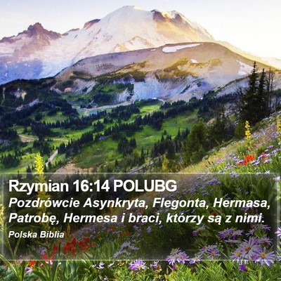 Rzymian 16:14 POLUBG Bible Verse Image