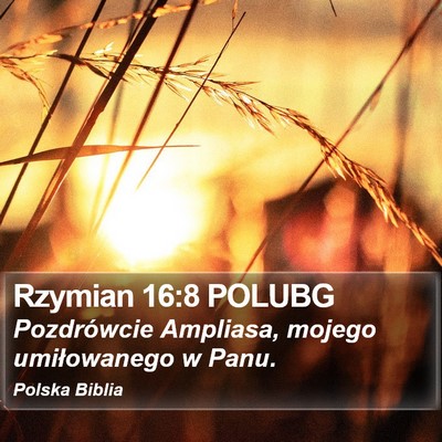 Rzymian 16:8 POLUBG Bible Verse Image