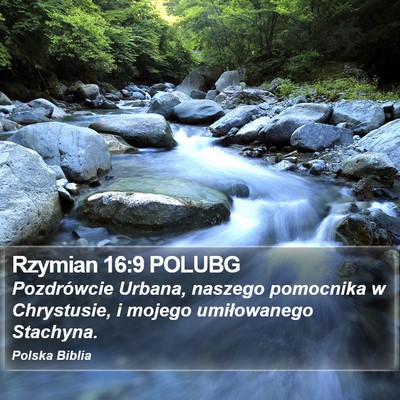 Rzymian 16:9 POLUBG Bible Verse Image