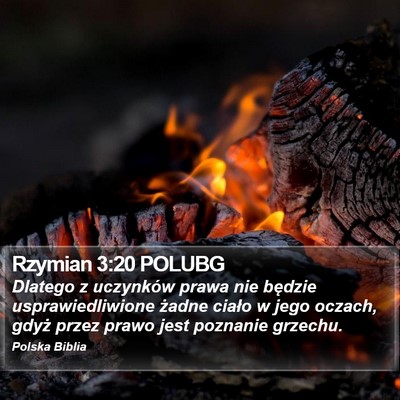 Rzymian 3:20 POLUBG Bible Verse Image