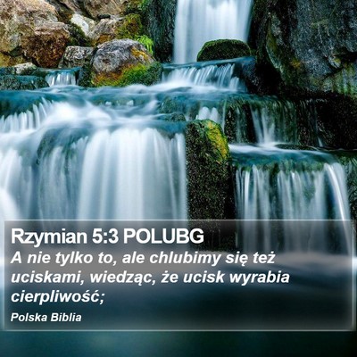 Rzymian 5:3 POLUBG Bible Verse Image