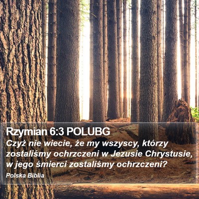 Rzymian 6:3 POLUBG Bible Verse Image