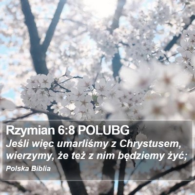 Rzymian 6:8 POLUBG Bible Verse Image