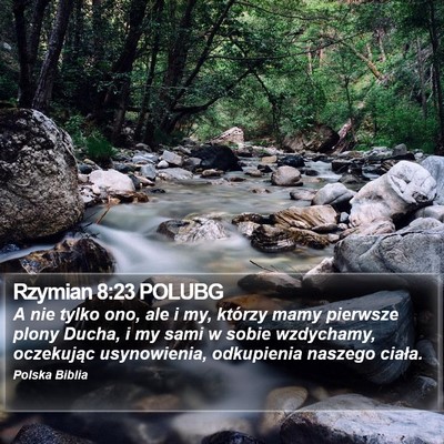 Rzymian 8:23 POLUBG Bible Verse Image
