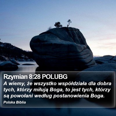 Rzymian 8:28 POLUBG Bible Verse Image