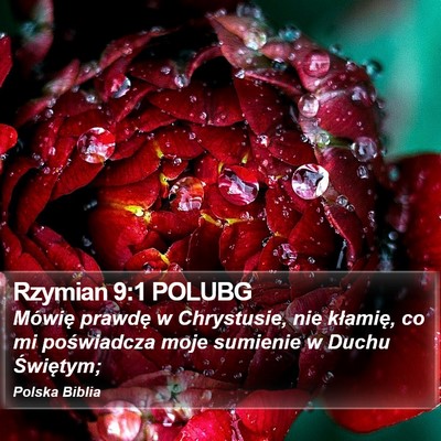 Rzymian 9:1 POLUBG Bible Verse Image