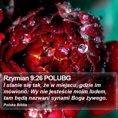 Rzymian 9:26 POLUBG Bible Verse Image