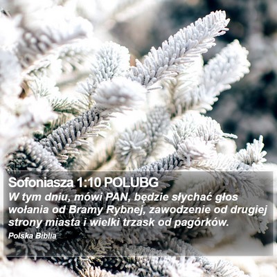 Sofoniasza 1:10 POLUBG Bible Verse Image