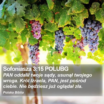 Sofoniasza 3:15 POLUBG Bible Verse Image