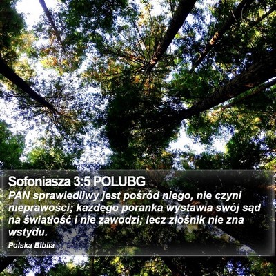 Sofoniasza 3:5 POLUBG Bible Verse Image