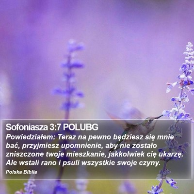 Sofoniasza 3:7 POLUBG Bible Verse Image