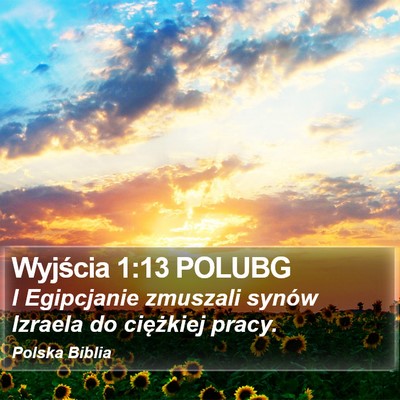 Wyjścia 1:13 POLUBG Bible Verse Image