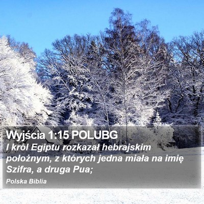 Wyjścia 1:15 POLUBG Bible Verse Image