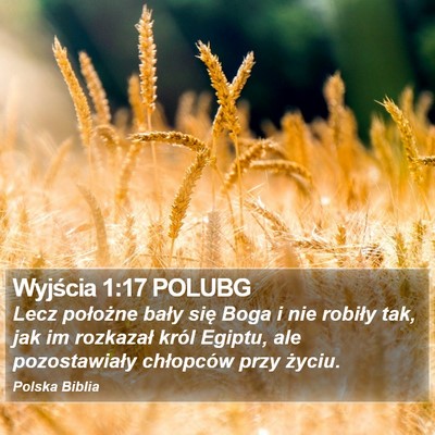 Wyjścia 1:17 POLUBG Bible Verse Image