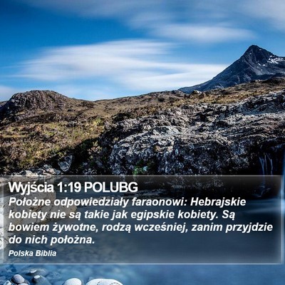 Wyjścia 1:19 POLUBG Bible Verse Image