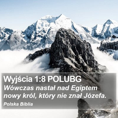 Wyjścia 1:8 POLUBG Bible Verse Image