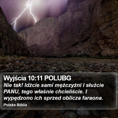 Wyjścia 10:11 POLUBG Bible Verse Image