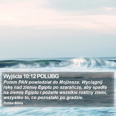 Wyjścia 10:12 POLUBG Bible Verse Image