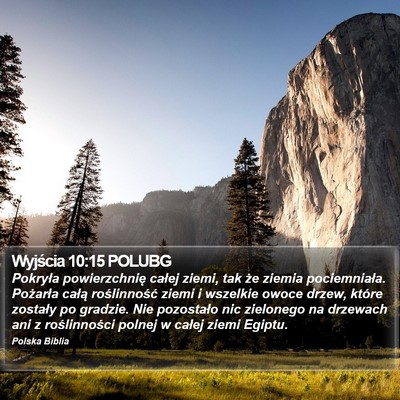 Wyjścia 10:15 POLUBG Bible Verse Image
