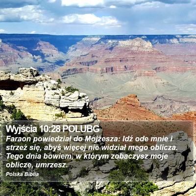 Wyjścia 10:28 POLUBG Bible Verse Image