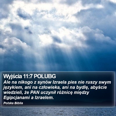 Wyjścia 11:7 POLUBG Bible Verse Image