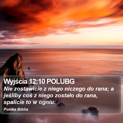 Wyjścia 12:10 POLUBG Bible Verse Image