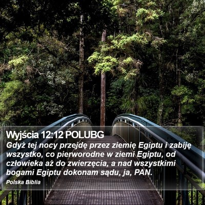 Wyjścia 12:12 POLUBG Bible Verse Image