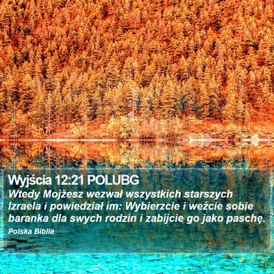 Wyjścia 12:21 POLUBG Bible Verse Image