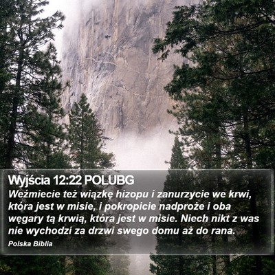 Wyjścia 12:22 POLUBG Bible Verse Image