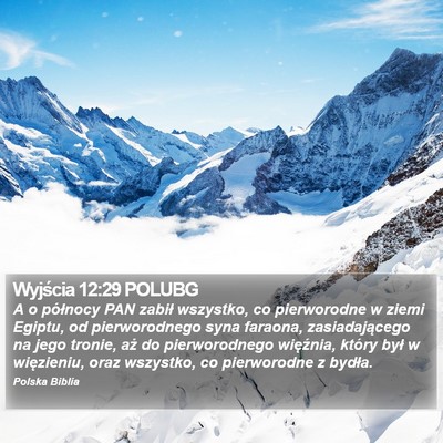 Wyjścia 12:29 POLUBG Bible Verse Image