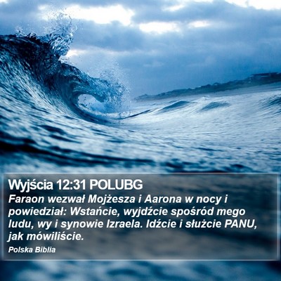 Wyjścia 12:31 POLUBG Bible Verse Image
