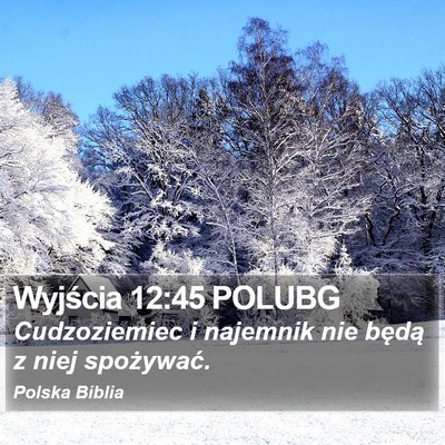 Wyjścia 12:45 POLUBG Bible Verse Image